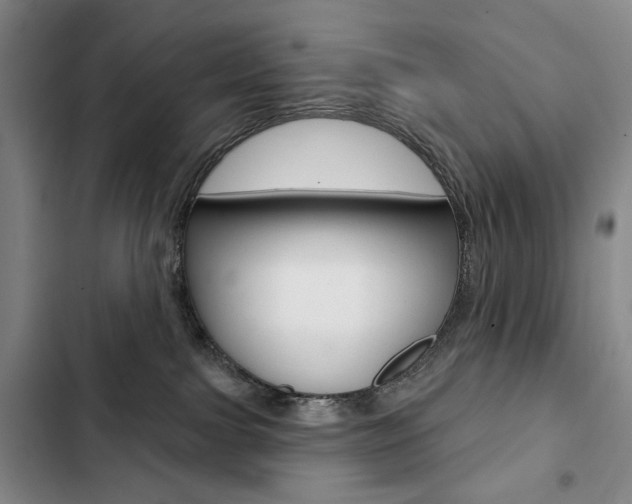 X0000103150091200808221138
