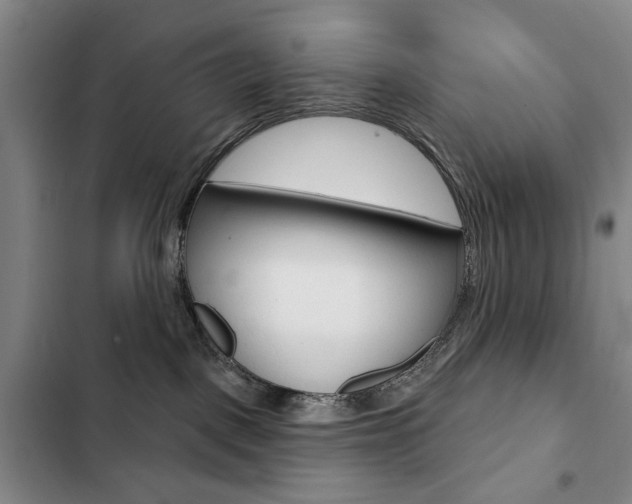 X0000103150093200808221138