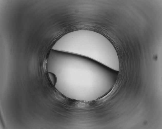 X0000103150094200808221138