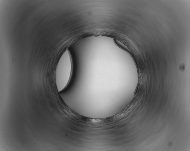 X0000103150095200808221138