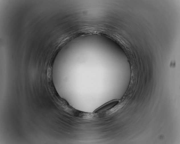 X0000103150096200808221138