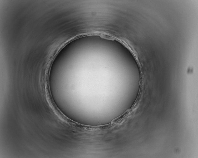 X0000103150097200808221138