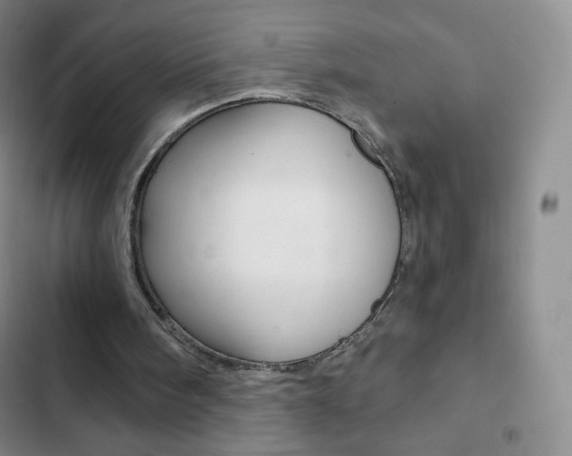 X0000103150098200808221138