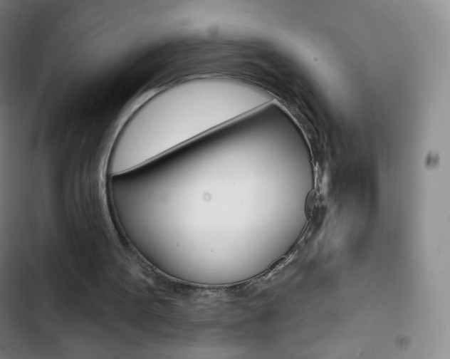 X0000103150099200808221138