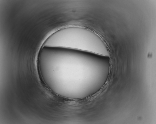 X0000103150100200808221138