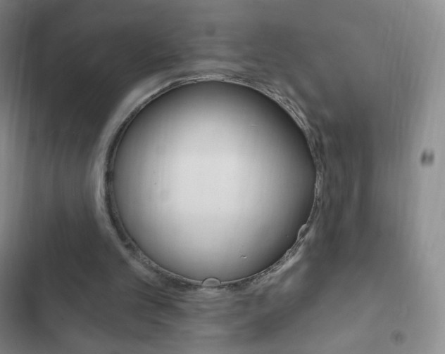 X0000103150101200808221138