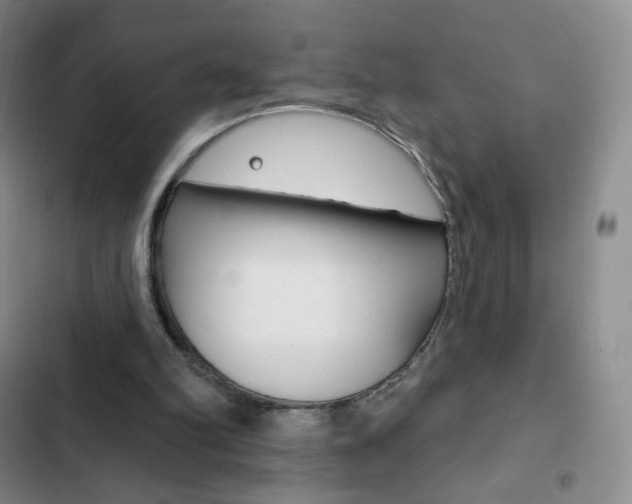 X0000103150102200808221138