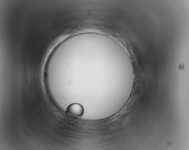 X0000103150104200808221138