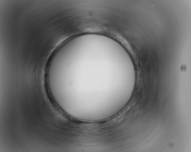 X0000103150106200808221138