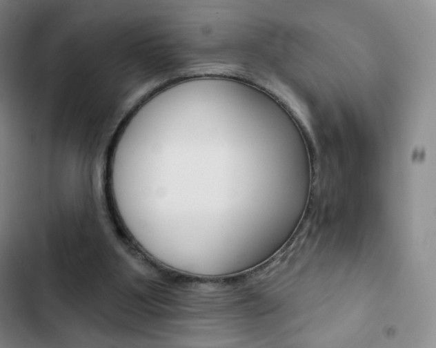 X0000103150107200808221138