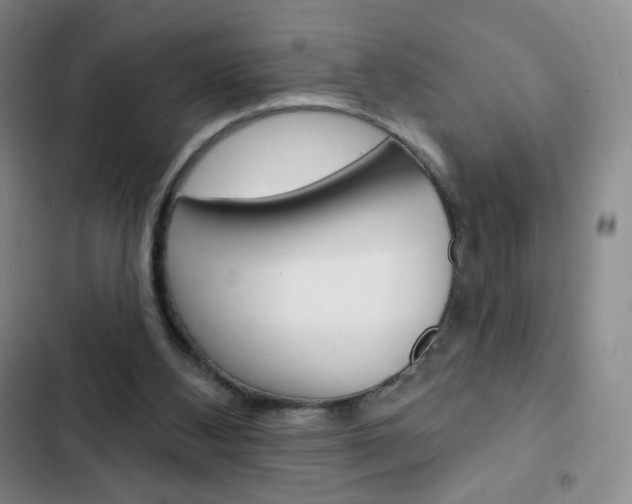 X0000103150108200808221137