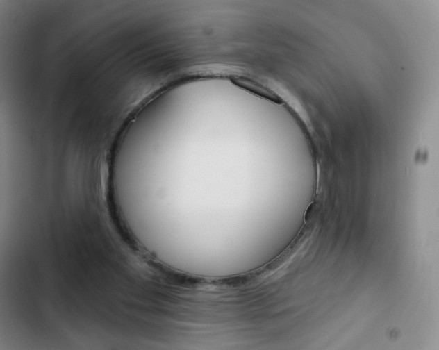 X0000103150109200808221137