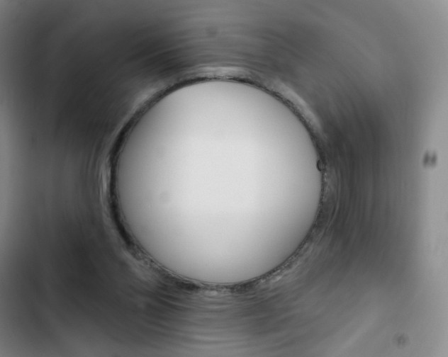 X0000103150110200808221137