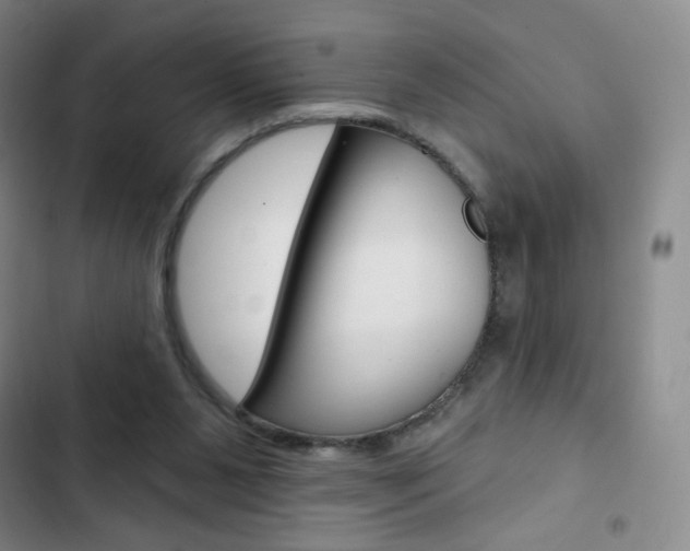 X0000103150111200808221137