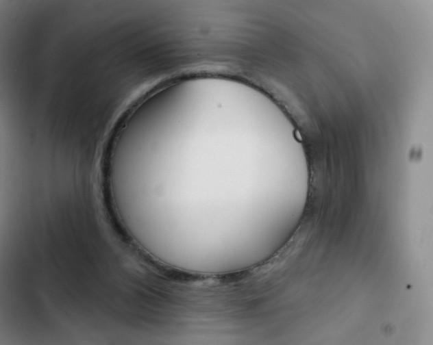 X0000103150112200808221137