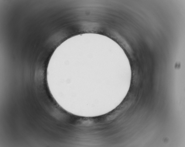 X0000103150113200808221137