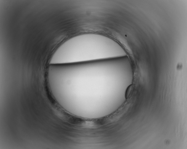 X0000103150114200808221137