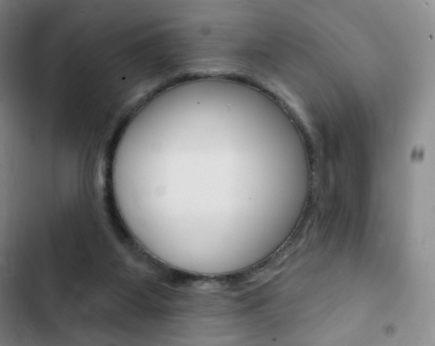 X0000103150115200808221137