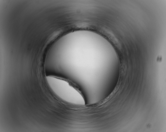 X0000103150116200808221137
