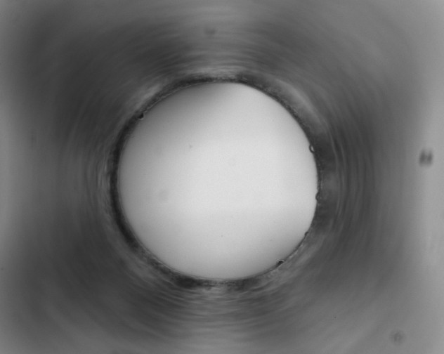 X0000103150120200808221137