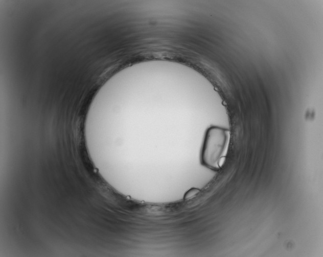 X0000103150121200808221137