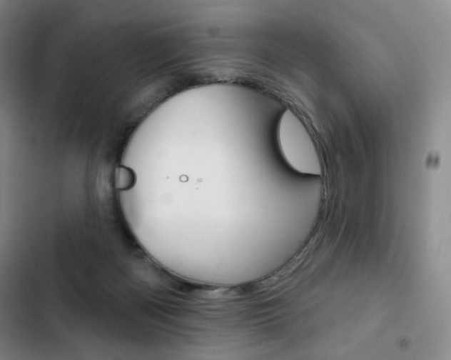 X0000103150122200808221137