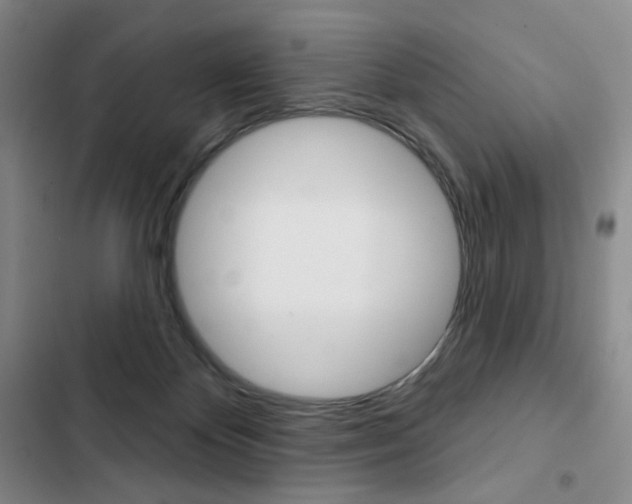 X0000103150124200808221137