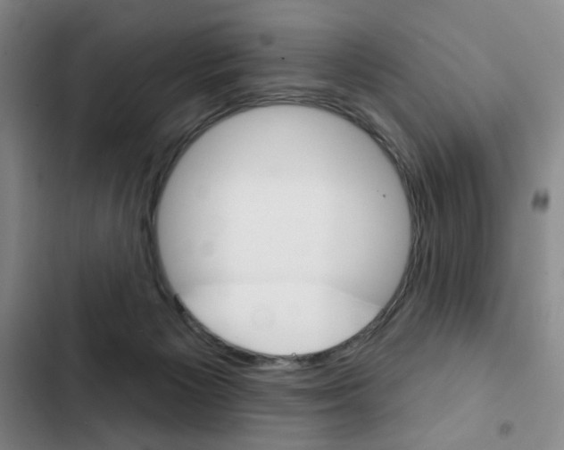 X0000103150125200808221137