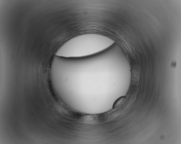 X0000103150126200808221137