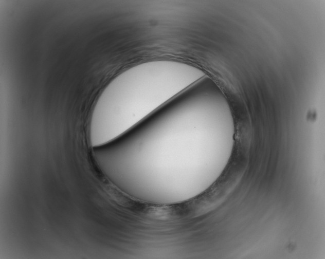 X0000103150127200808221137