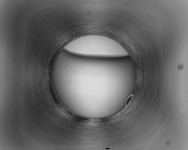 X0000103150128200808221137