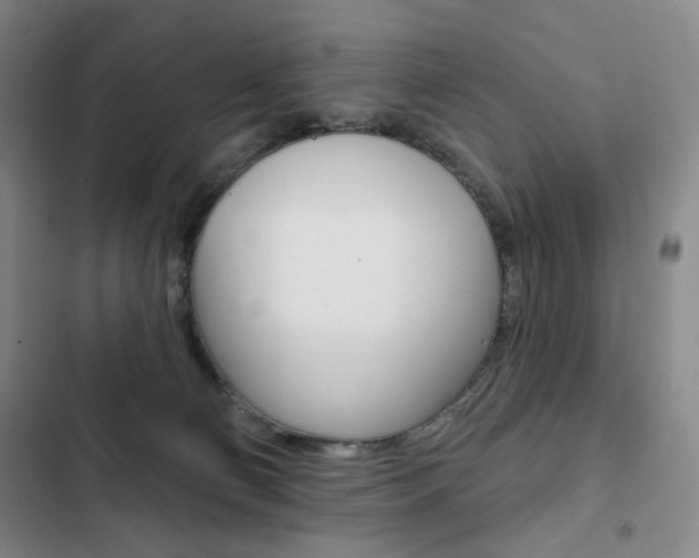X0000103150130200808221137