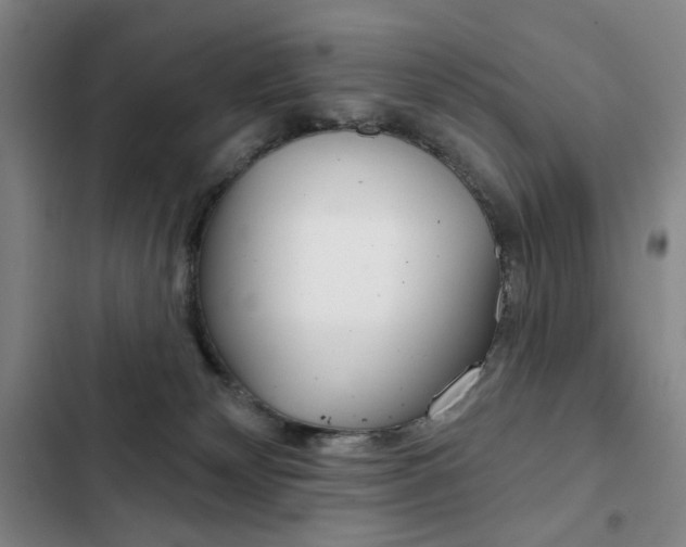 X0000103150132200808221137
