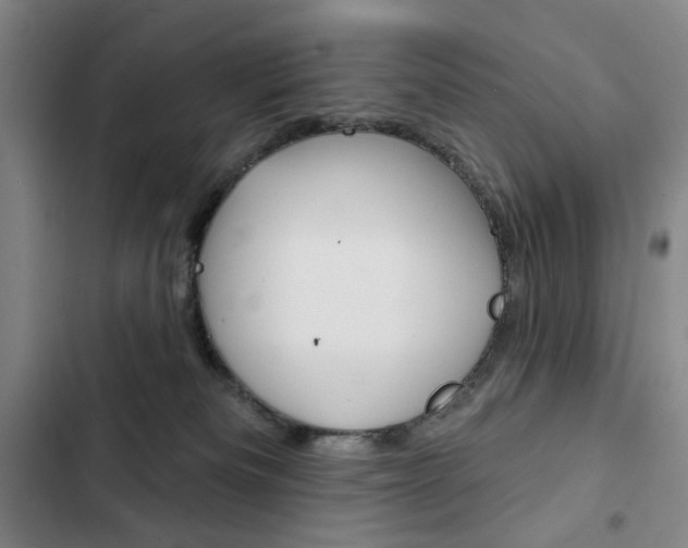 X0000103150133200808221137