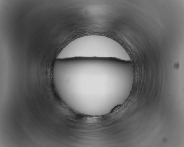 X0000103150134200808221137