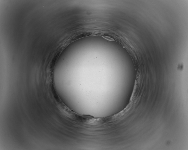 X0000103150136200808221137