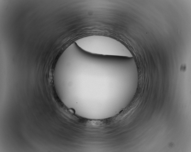 X0000103150137200808221137