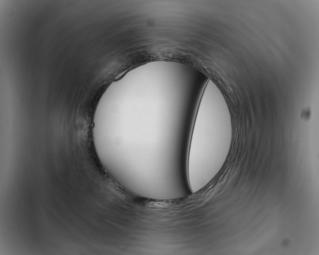 X0000103150139200808221137