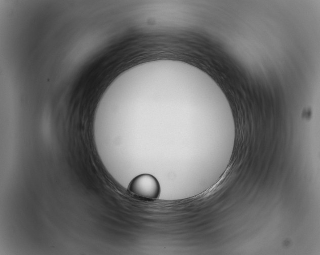 X0000103150140200808221137