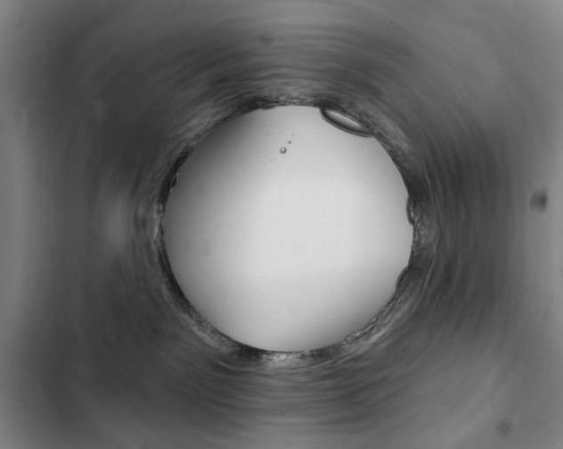 X0000103150141200808221137