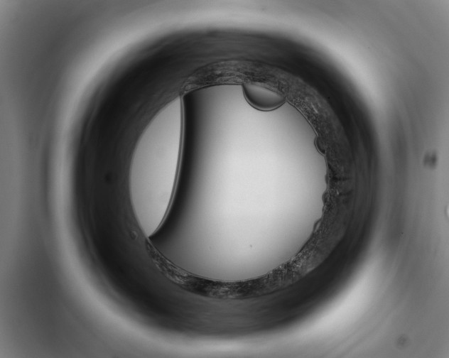 X0000103150143200808221137