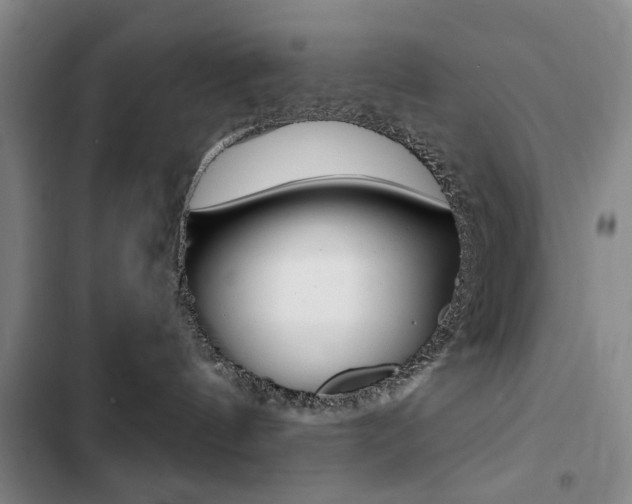 X0000103150144200808221137