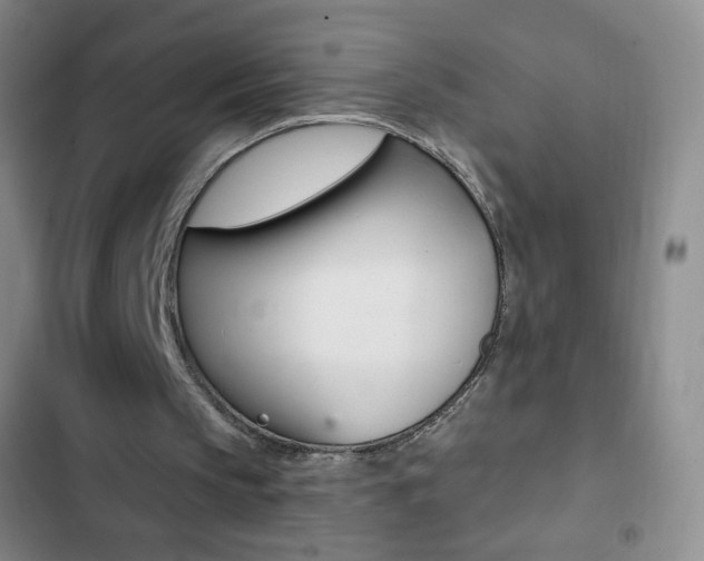 X0000103150145200808221136