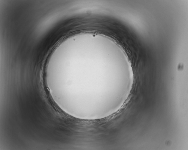 X0000103150146200808221136