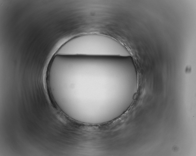 X0000103150147200808221136