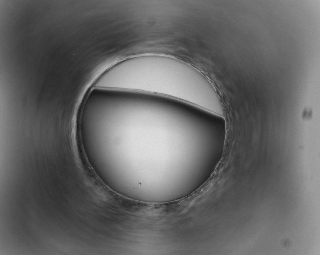 X0000103150148200808221136