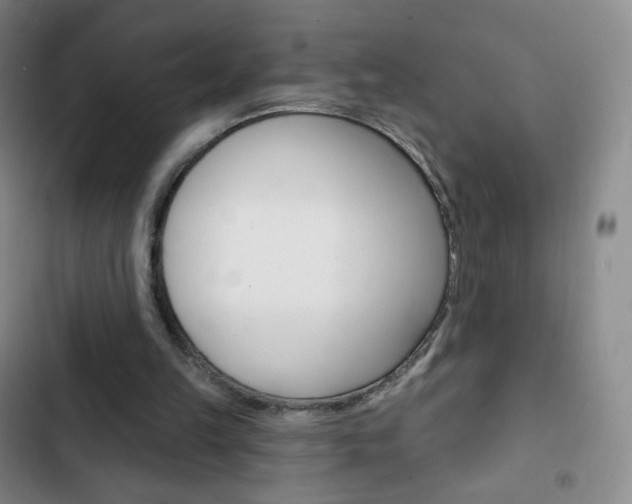 X0000103150149200808221136