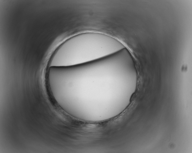 X0000103150151200808221136