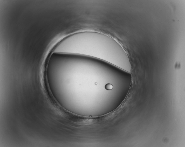 X0000103150152200808221136