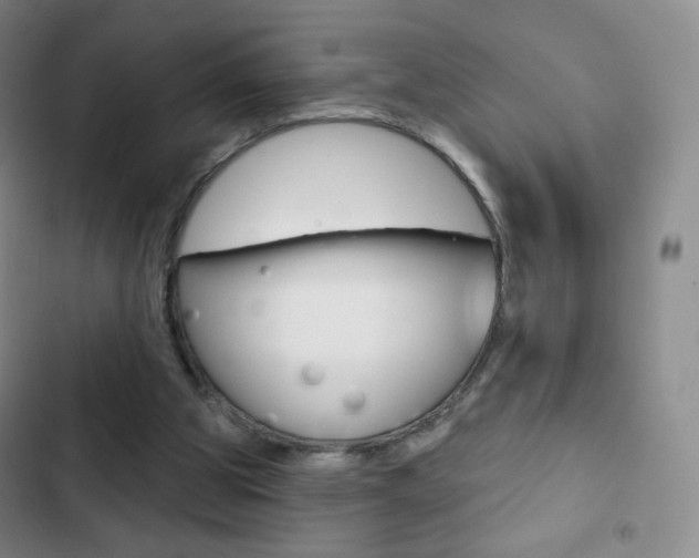 X0000103150153200808221136
